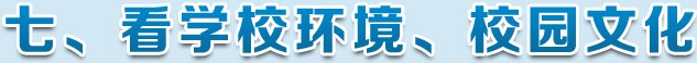 看学校环境文化